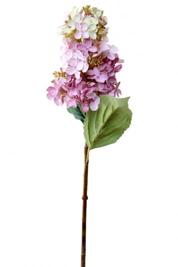 pink green 52cm
